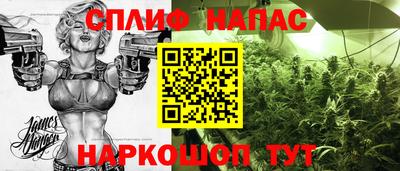 МДПВ Славянск-на-Кубани