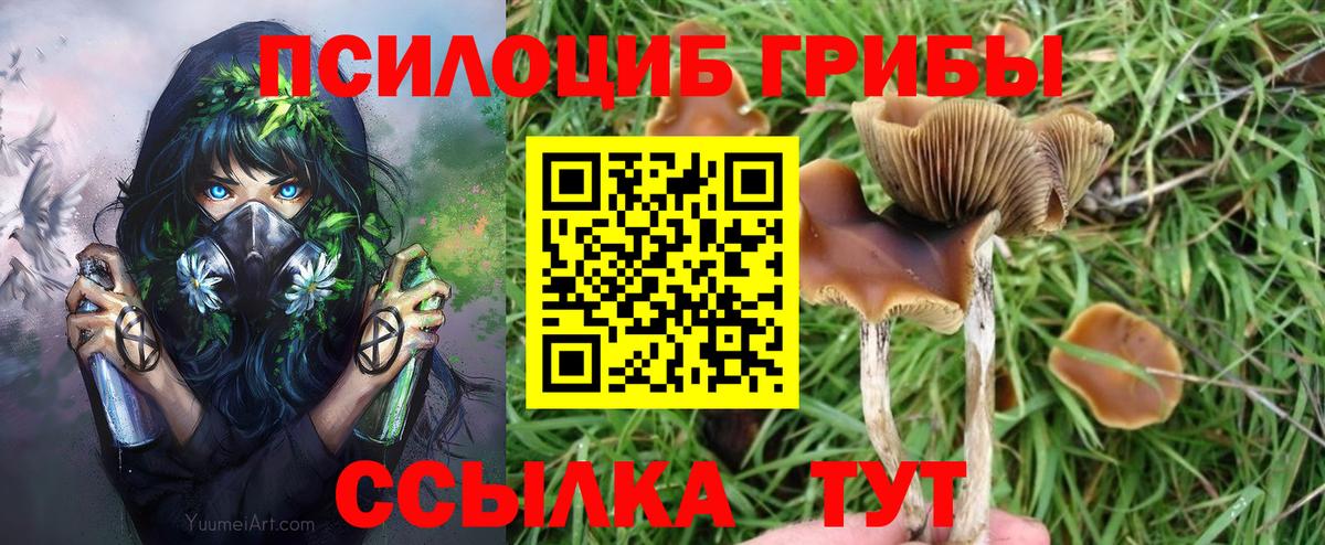 Галлюциногенные грибы ЛСД  Вход с VPN  Псилоцибиновые грибы Cubensis  что такое наркотик  Бердск 